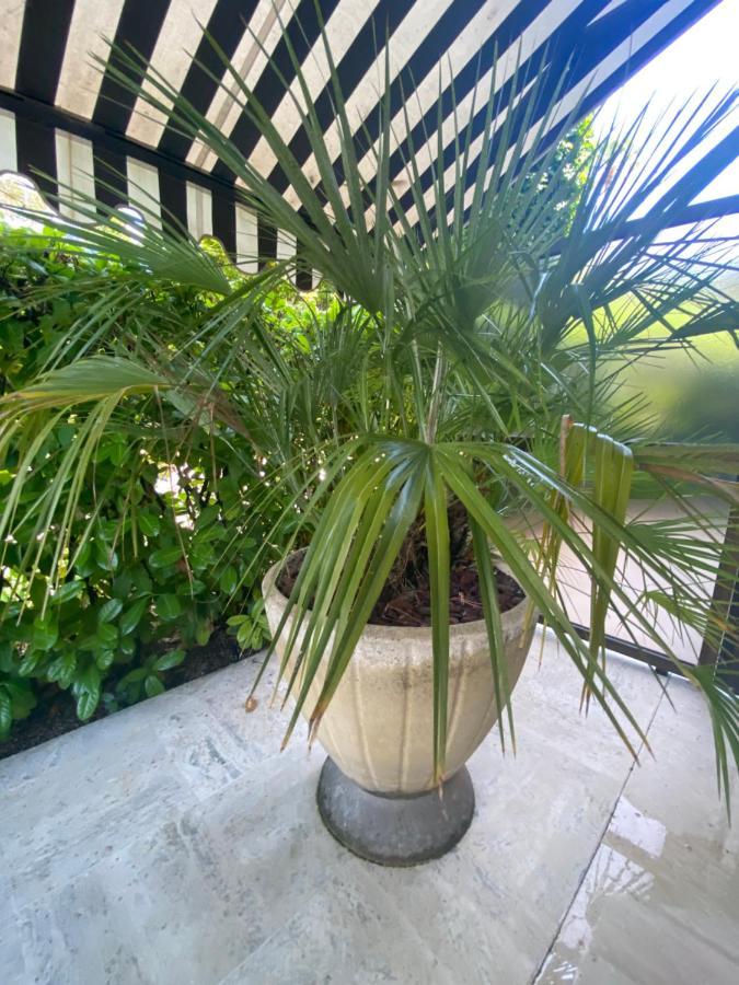 Un Coin De Paradis Cannes Exterior foto